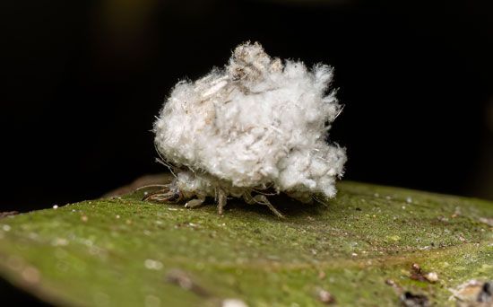 Milf loira casada transando com seu amante - Junk collector